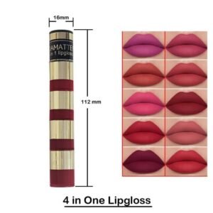 4 in 1 glossy lip gloss (random color).
